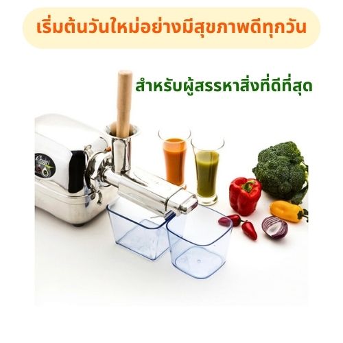 Angel Juicer   1