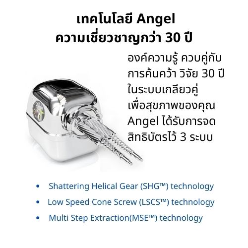 Angel Juicer   4