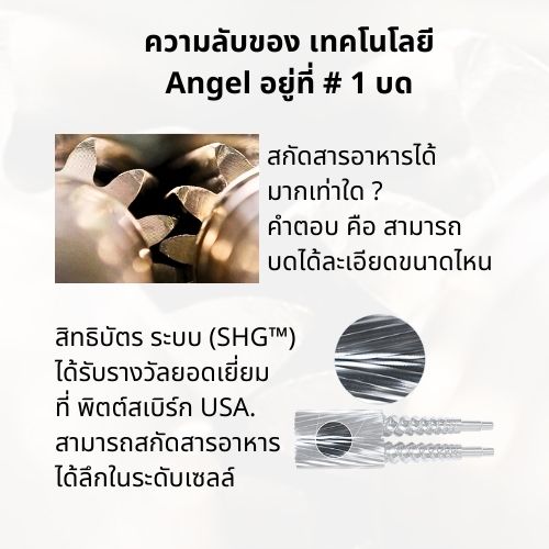 Angel Juicer   6