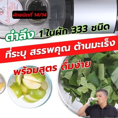 ตำลึง 1 ใน 14 ผักต้านมะเร็ง คัดมาจากผัก 333 ชนิด 