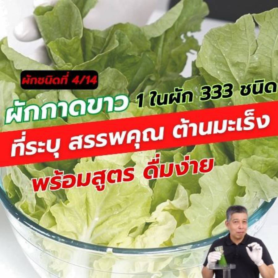 ผักกาดขาว 1 ใน 14 ผักต้านมะเร็ง คัดมาจากผัก 333 ชนิด 