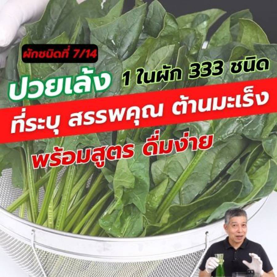 ปวยเล้ง 1 ใน 14 ผักต้านมะเร็ง คัดมาจากผัก 333 ชนิด 