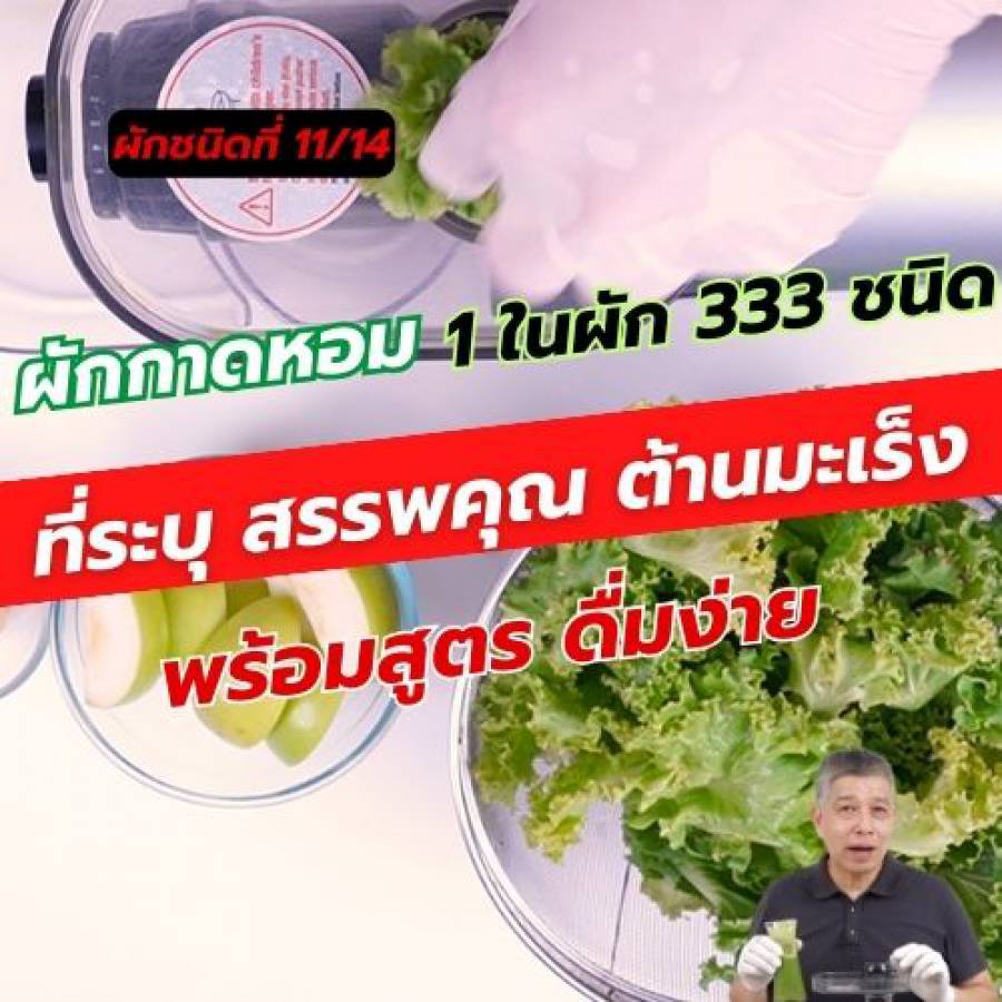 ผักกาดหอม 1 ใน 14 ผักต้านมะเร็ง คัดมาจากผัก 333 ชนิด 